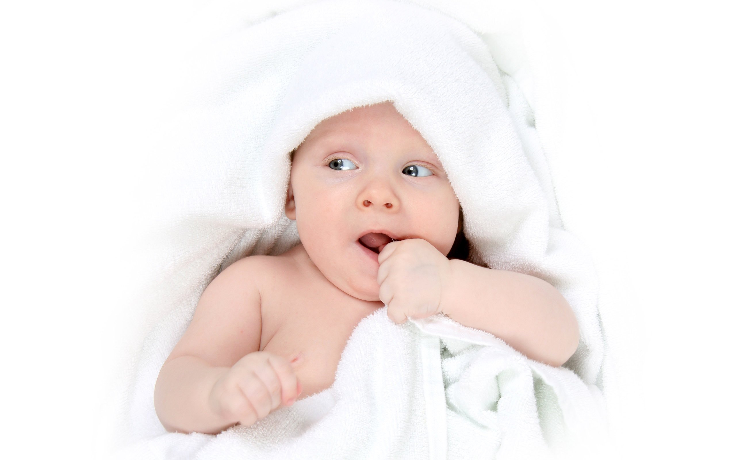 连云港供卵公司机构在美国试管婴儿成功率